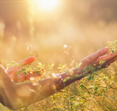 Menopause Explained: The One-Day Transition to Strength & Stability