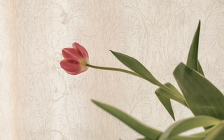 Is There a Test for Perimenopause?