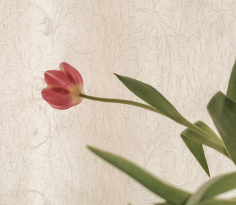 Is There a Test for Perimenopause?