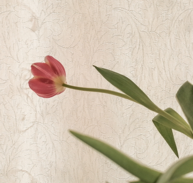 Is There a Test for Perimenopause?