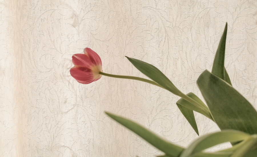 Is There a Test for Perimenopause?