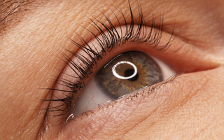 Organic Cold Pressed Castor oil for fuller looking lashes