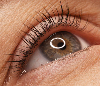 Organic Cold Pressed Castor oil for fuller looking lashes