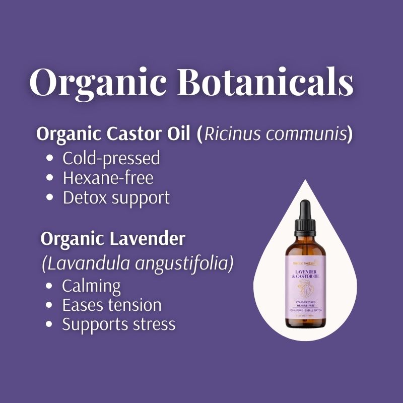 Organic Botanicals graphic for the Lavender & Castor Oil dropper: cold-pressed, hexane-free castor oil and organic lavender
