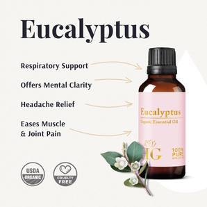 Organic Eucalyptus Essential Oil