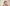 Promotion banner