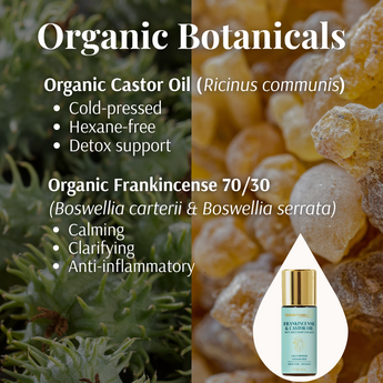 Holistic Goddess Organic Botanicals graphic featuring Organic Castor Oil (Ricinus communis) with benefits: cold-pressed, hexane-free, detox support; and Organic Frankincense 70/30 (Boswellia carterii & Boswellia serrata) with benefits: calming, clarifying, anti-inflammatory. Split botanical background with castor plant and frankincense resin, product bottle displayed at bottom.