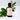 Organic Peppermint Essential Oil