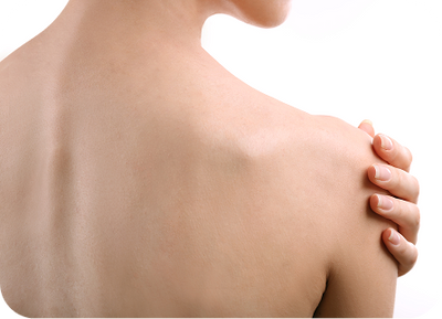4. Joints & Shoulders