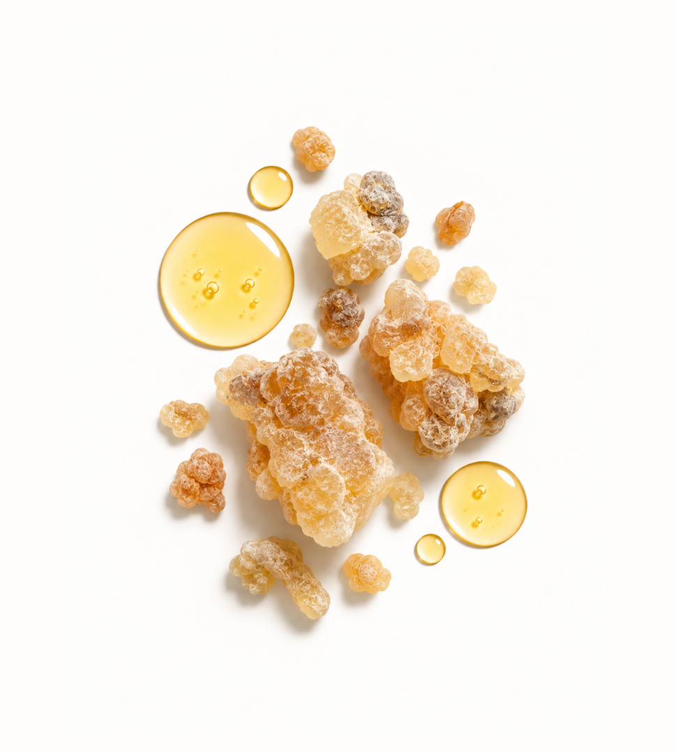 Frankincense resin from Boswellia serrata with golden oil drops, natural botanical ingredient used in Frankincense & Castor Oil