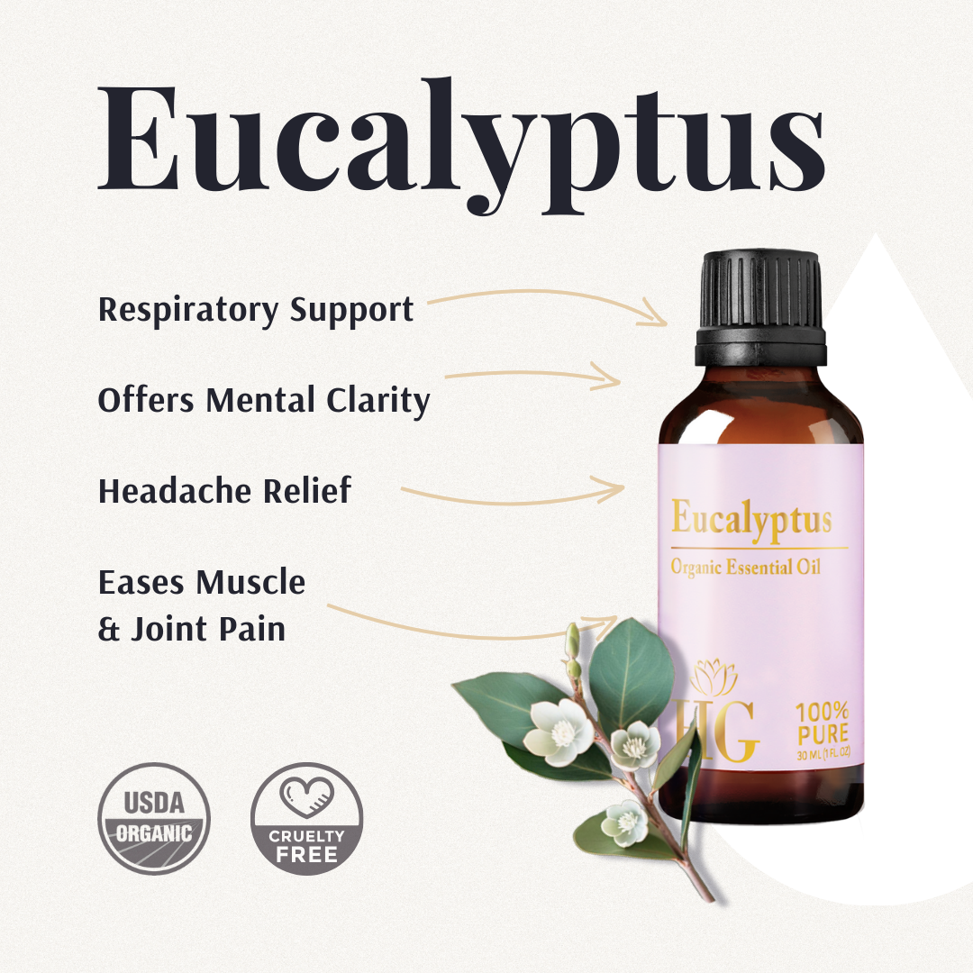 Essential Oil Kit eucalyptus card: respiratory support, mental clarity, headache relief, muscle and joint pain