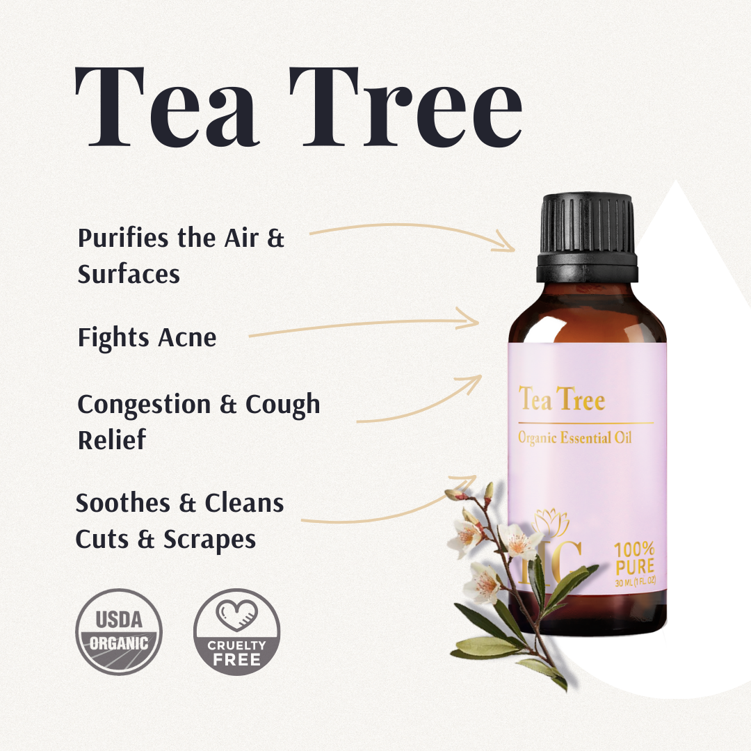 Essential Oil Kit tea tree card: purifies air, fights acne, congestion relief, soothes cuts and scrapes