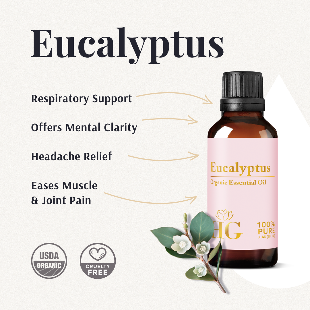 Organic Eucalyptus Essential Oil benefits: respiratory support, mental clarity, headache relief, muscle and joint pain