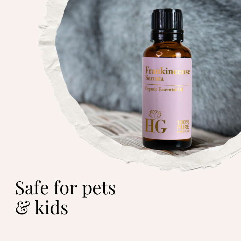 Organic Frankincense Essential Oil – bottle on torn-paper cutout with blanket backdrop, safe for pets and kids callout