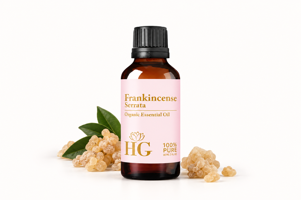Organic Frankincense Essential Oil – bottle with frankincense resin tears and greenery, empower your senses hero