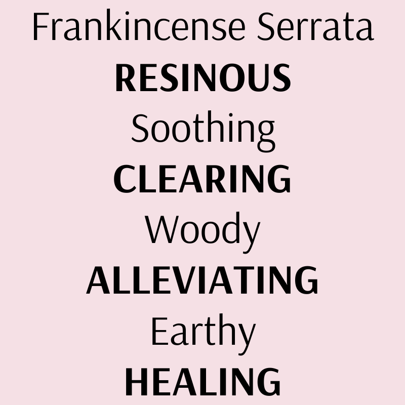 Organic Frankincense Essential Oil by Holistic Goddess – scent descriptor word graphic, resinous soothing clearing woody