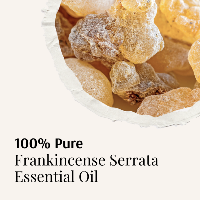Organic Frankincense Essential Oil by Holistic Goddess – torn-paper cutout of frankincense resin tears, 100% pure headline