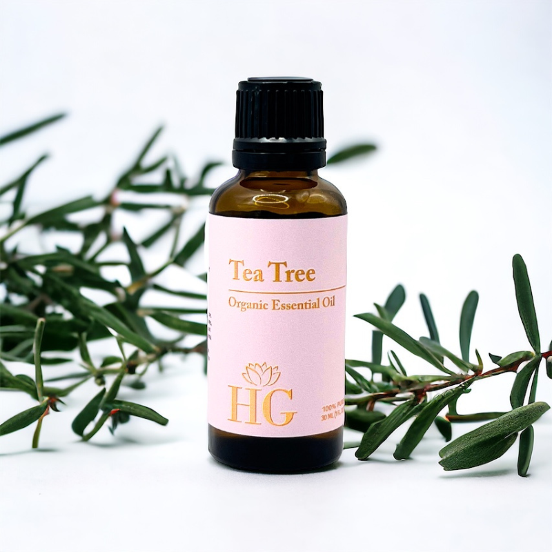 Organic Tea Tree Essential Oil by Holistic Goddess – bottle product shot, pink Tea Tree label