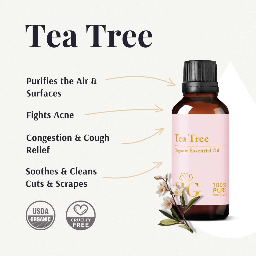Organic Tea Tree Essential Oil benefits: purifies air, fights acne, relieves congestion, soothes cuts and scrapes