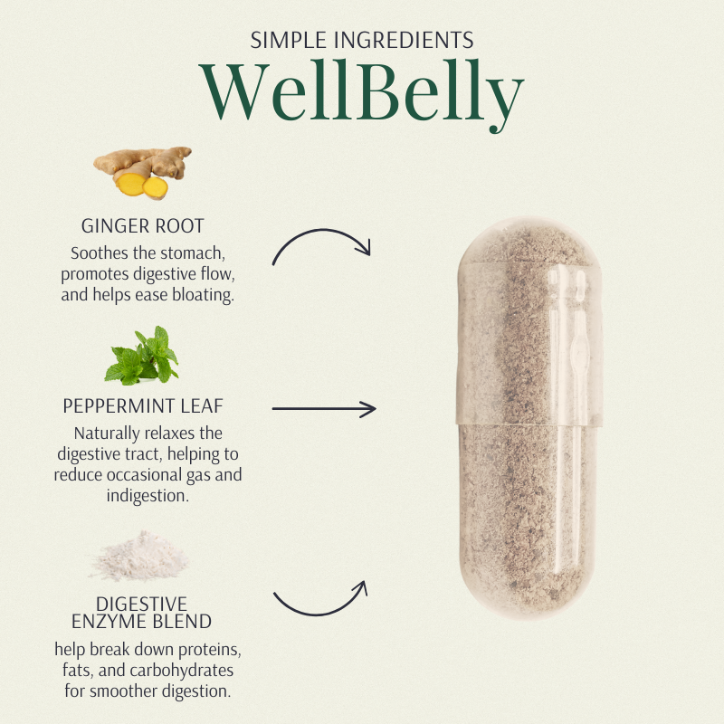 WellBelly – Simple Ingredients card (Ginger Root, Peppermint Leaf, Digestive Enzyme Blend) with capsule cutaway photo