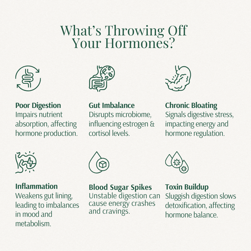 WellBelly card on what throws off your hormones: poor digestion, gut imbalance, chronic bloating, inflammation, blood sugar
