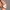 Dry Brush by LA SALT CO – woman brushing leg, exfoliating close-up