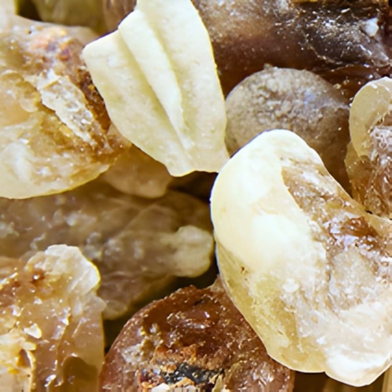 Boswellia Carterii