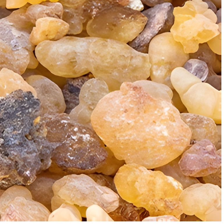 Boswellia serrata