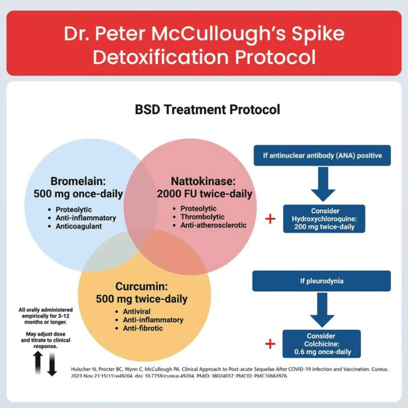 Ultimate Spike Detox – Dr. Peter McCullough Spike Detoxification Protocol infographic, BSD Treatment Protocol venn diagram...